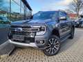 Ford Ranger Platinum 3,0d Standhz Tech93 e-Rollo Diff AKTION Gris - thumbnail 9