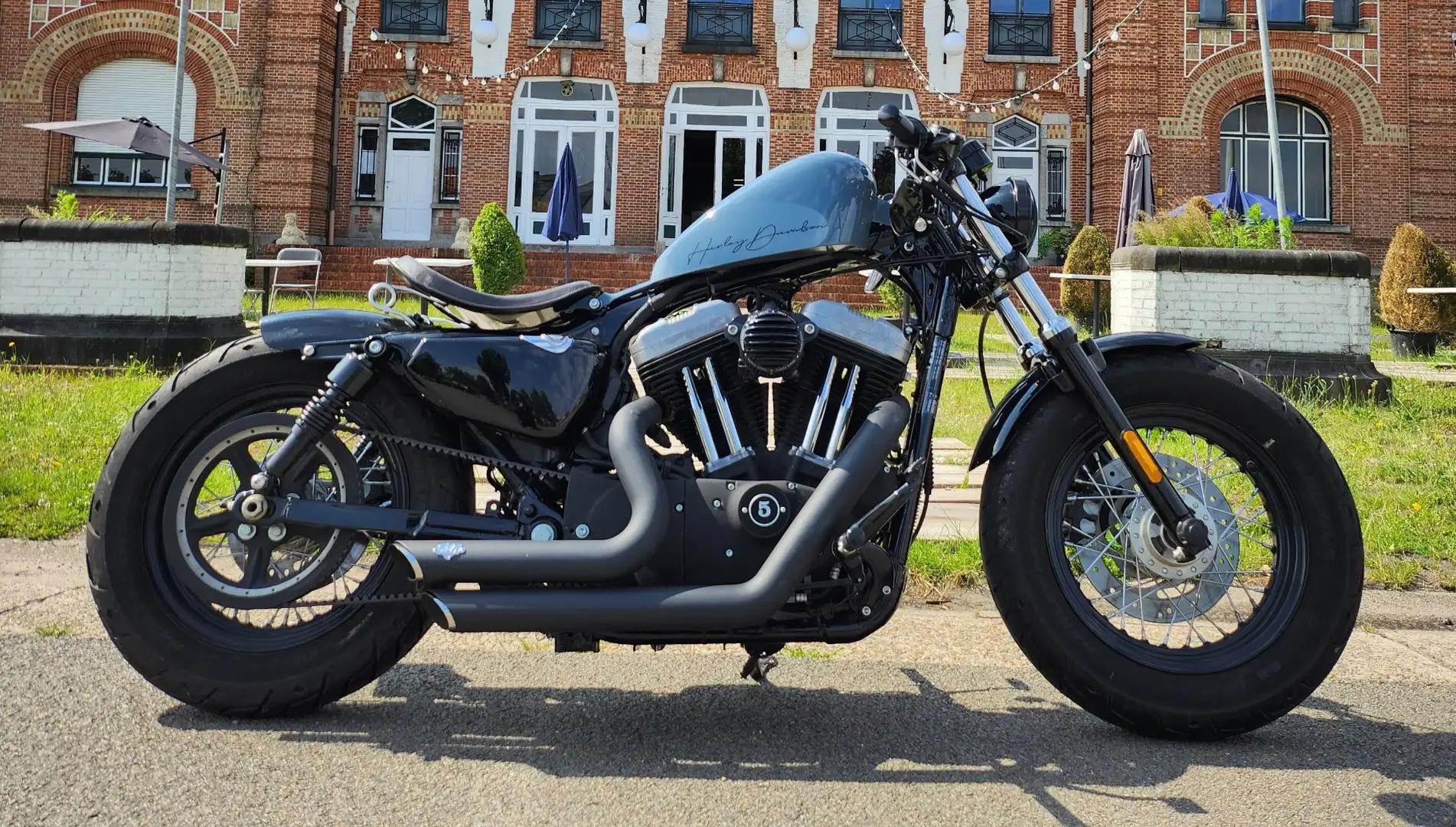 Harley-Davidson Sportster Forty Eight siva - 2