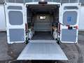 Peugeot Boxer Kasten 330 L2H2 Premium, Lift, Standheiz. Weiß - thumbnail 23