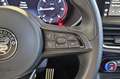 Alfa Romeo Stelvio ALFA ROMEO Stelvio 2.2 Turbodiesel 160 CV AT8 RWD Rosso - thumbnail 19