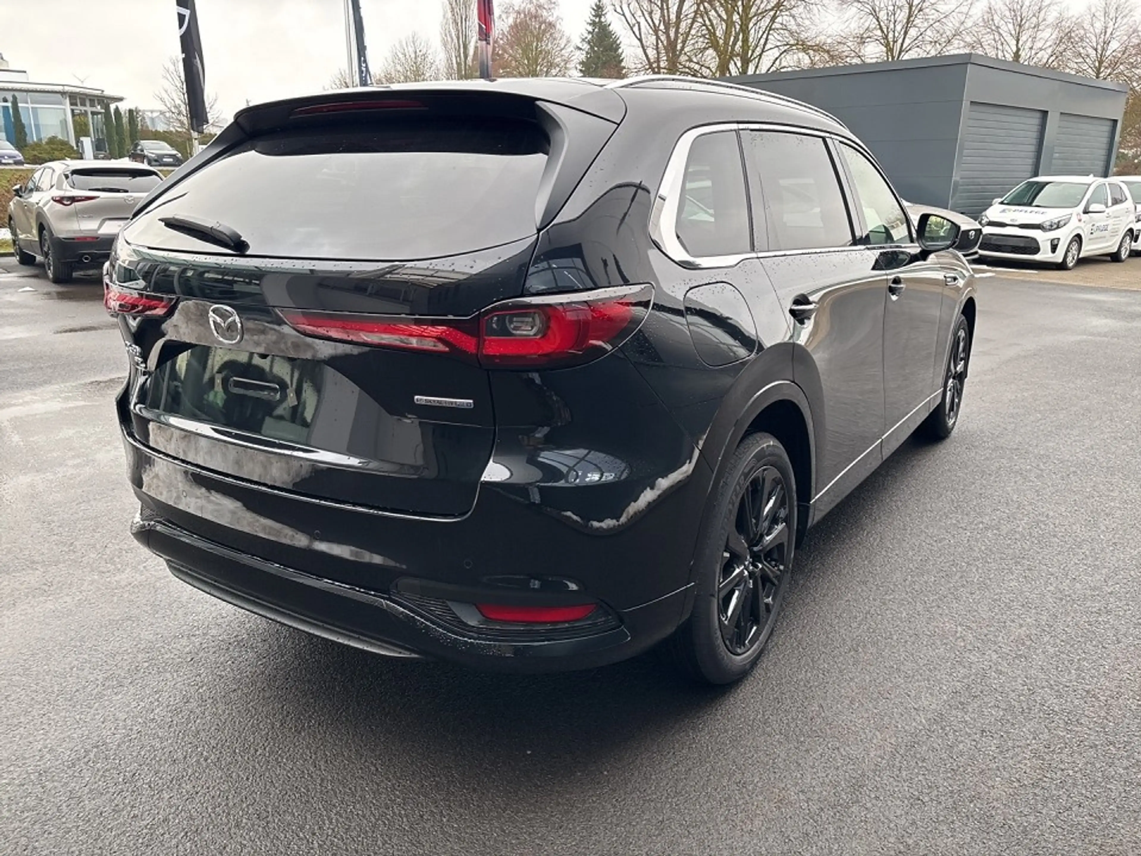 Mazda CX-80 Homura Plus 254 BLOP Metallic — photo 3
