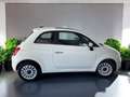 Fiat 500 1.0 Mild Hybrid Dolcevita - Carplay/ PDC/ Panorama Blanc - thumbnail 3