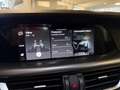 Alfa Romeo Stelvio 2.2 t Sprint Q4 190cv#AT8#VERDEVISCONTI#C.LEGA19 Grün - thumbnail 16