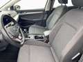 Volkswagen Golf VIII 1.5TSI Life Klima Navi LED Sitzheizung Grau - thumbnail 8