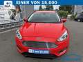 Ford Focus 1.0 EcoBoost  TITANIUM KLIMA*SHZG*BTH*NAVI*PDC*R-C Rot - thumbnail 9