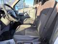 Ford Transit 350 L4 ENTRY 2.2 TDCI 155CV CASSONE Blanco - thumbnail 8