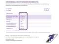 Ford Kuga ST-Line X Hybrid TECHNOLOGIE-P.:+WINTER-PAKET*TAGE Gris - thumbnail 28