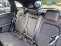 Ford Kuga ST-Line X Hybrid TECHNOLOGIE-P.:+WINTER-PAKET*TAGE Grau - thumbnail 22