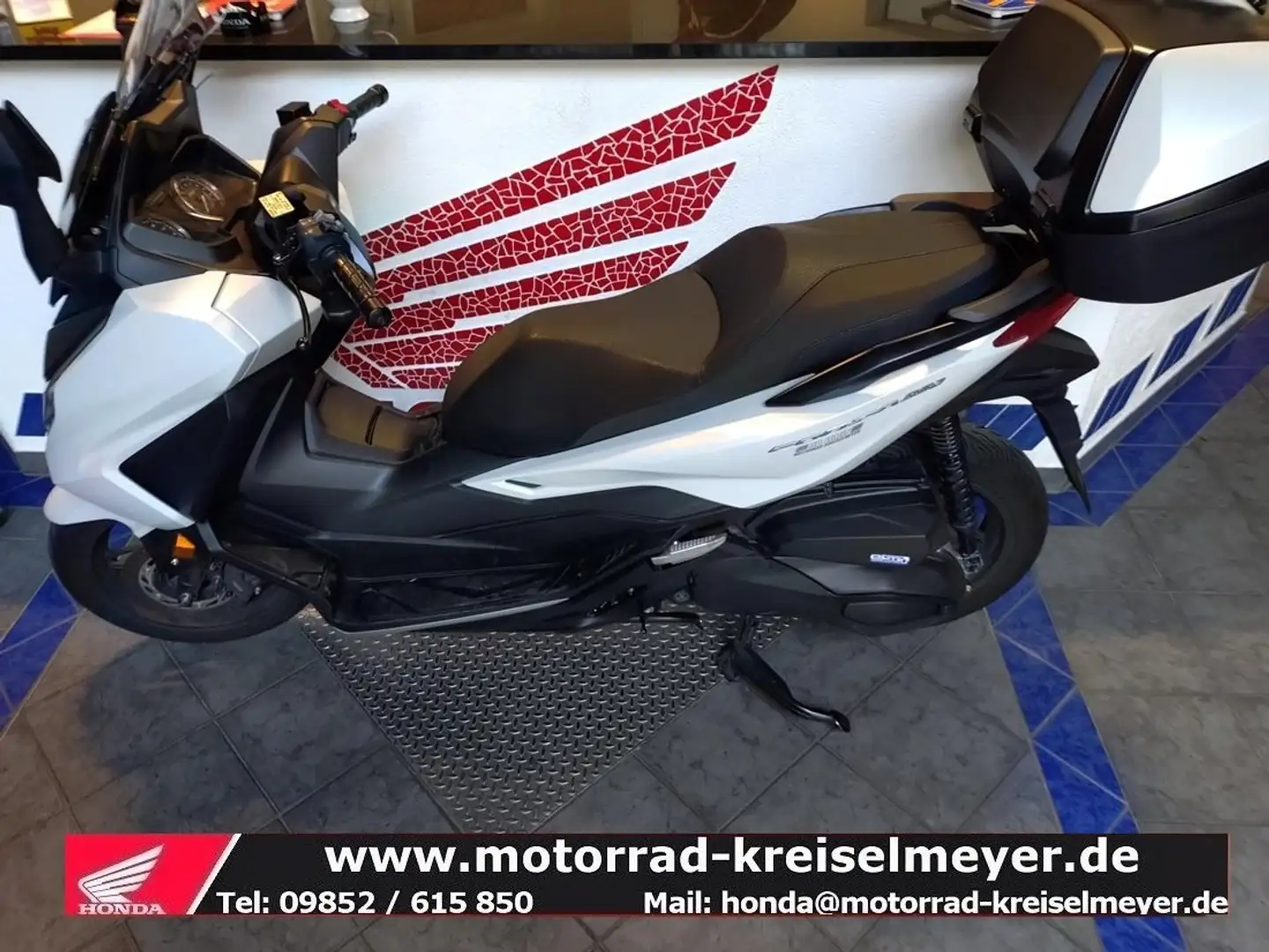 Honda Forza 350 Top gepflegter Zustand aus 1. Hand Alb - 1