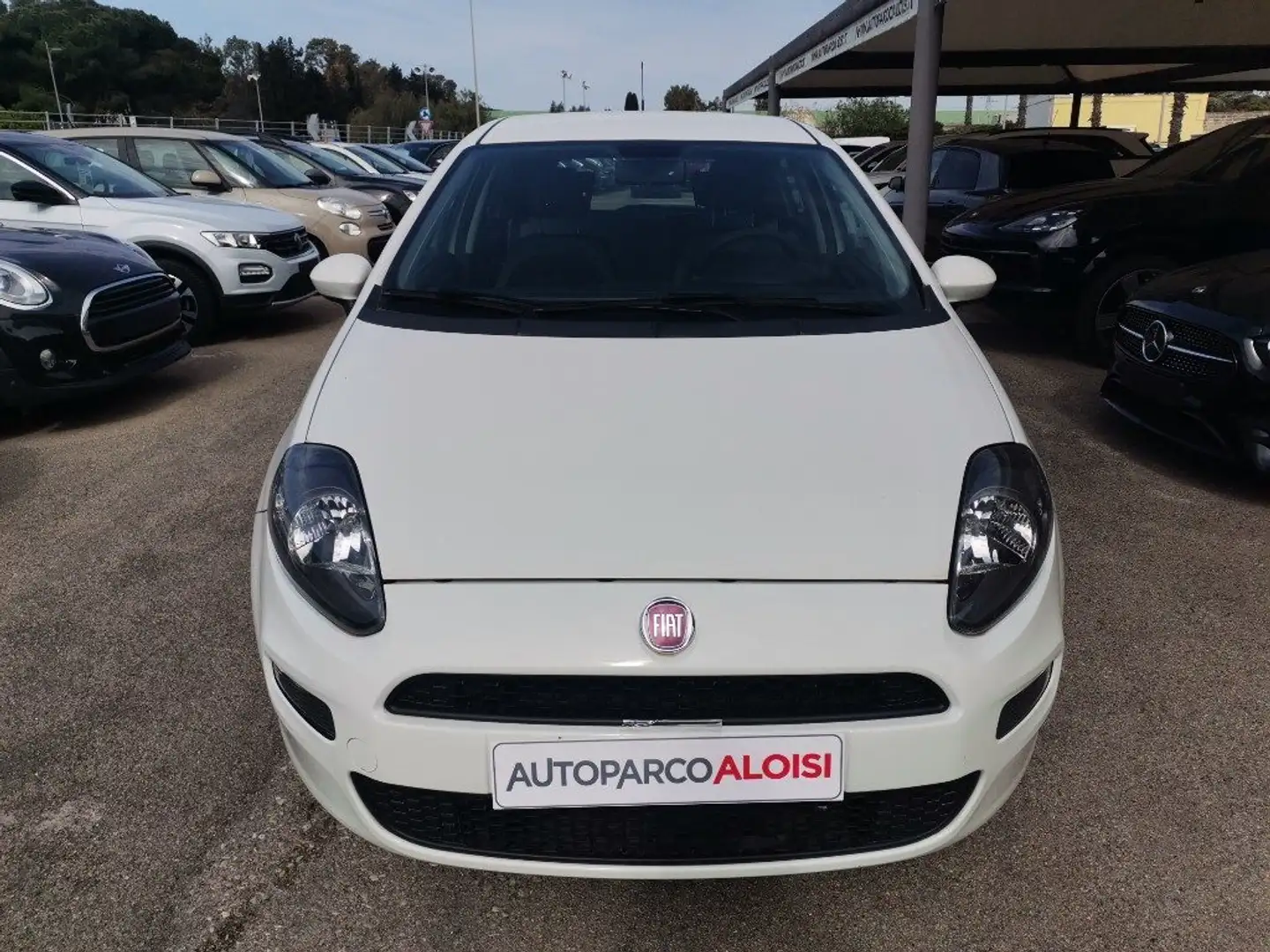 Fiat Punto Evo 1.4 5 porte MyLife Natural Power Bianco - 2
