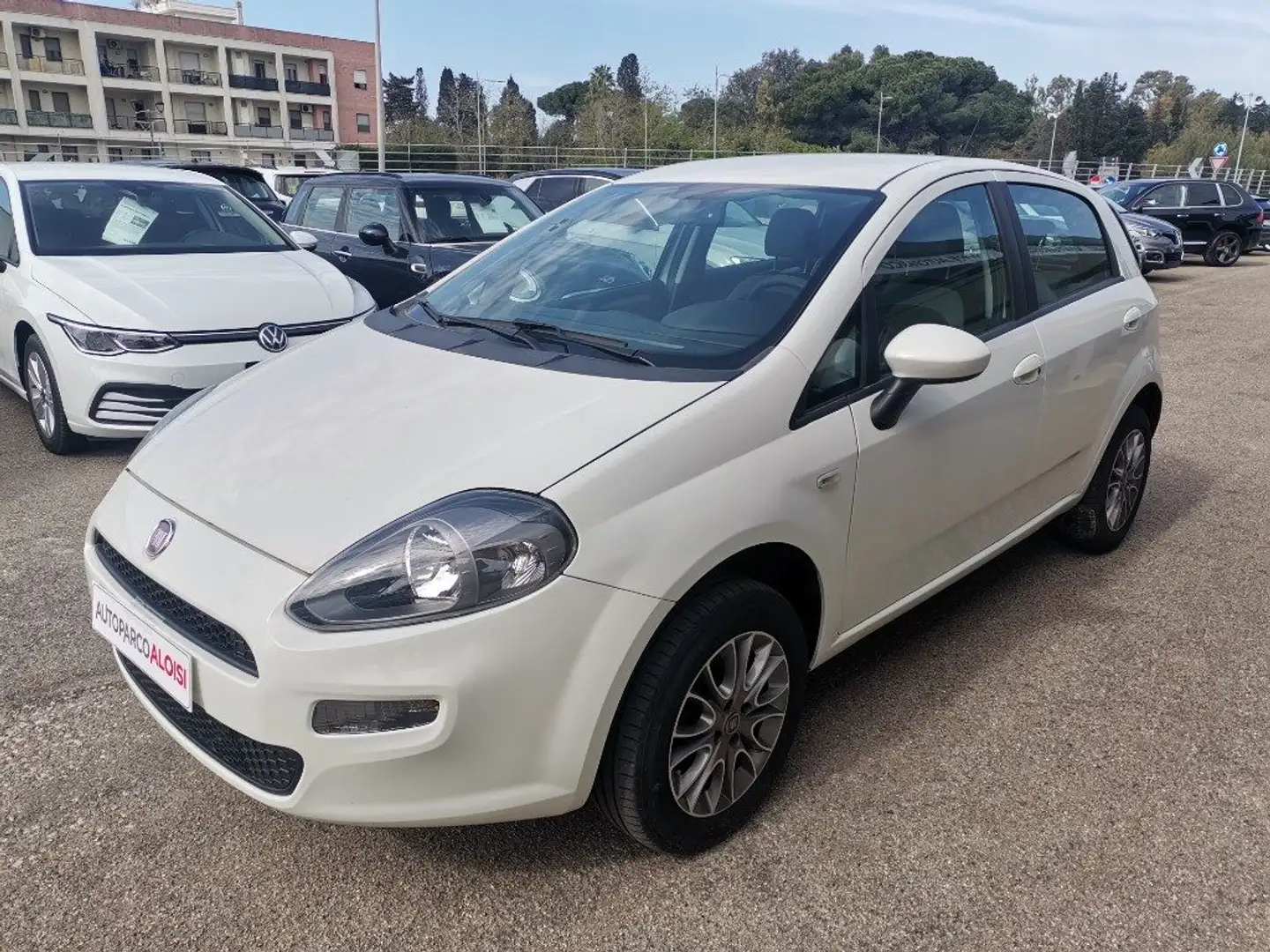 Fiat Punto Evo 1.4 5 porte MyLife Natural Power Bianco - 1