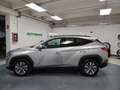 Hyundai TUCSON 1.6 hev Xline 2wd auto Paars - thumbnail 5