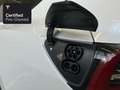 Tesla Model Y Rear-Wheel Drive “Certified Pre-Owned” Blanco - thumbnail 19