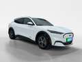 Ford Mustang Mach-E SR Basis Weiß - thumbnail 7