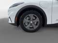 Ford Mustang Mach-E SR Basis Weiß - thumbnail 9