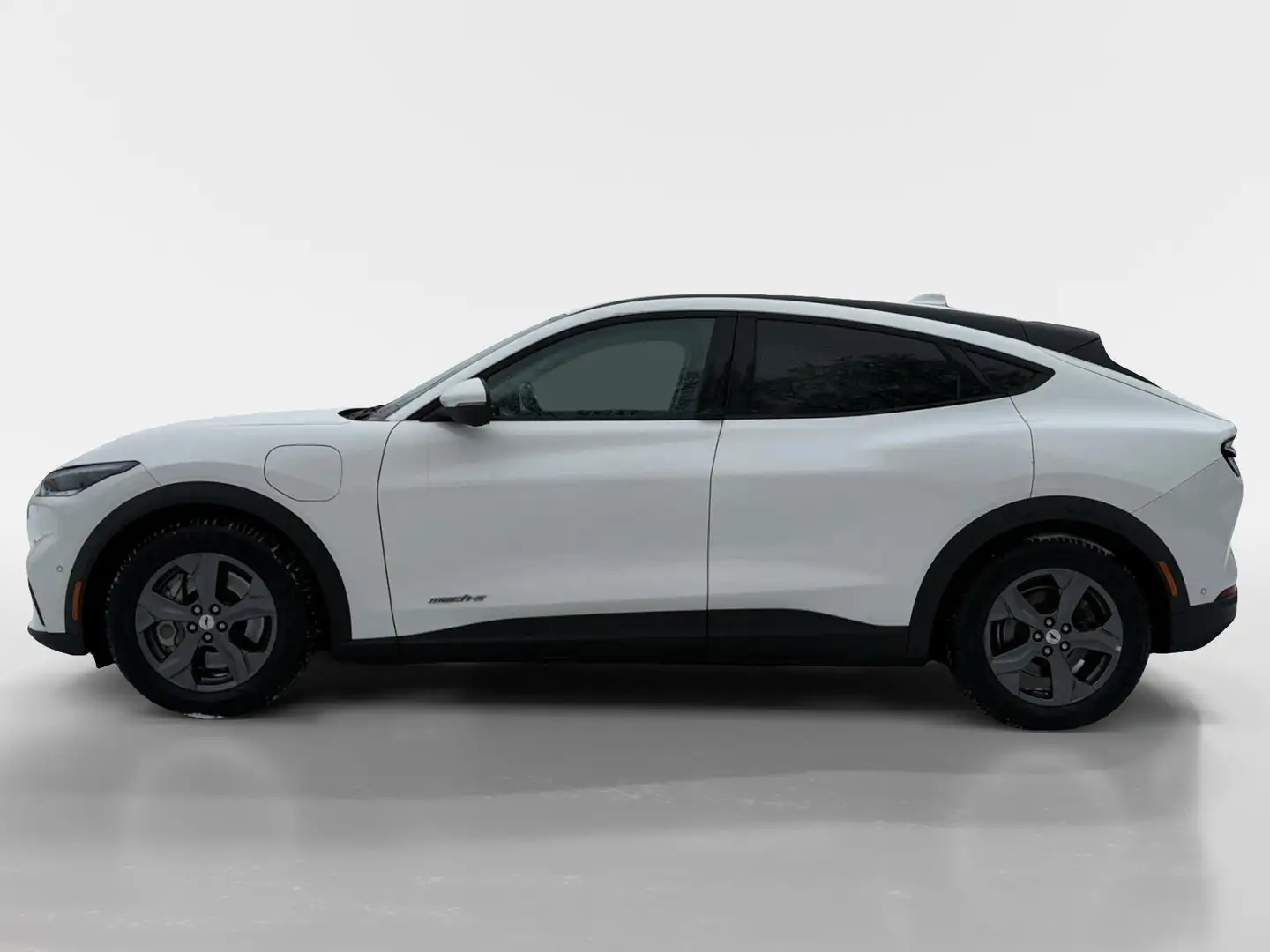 Ford Mustang Mach-E SR Basis Weiß - 2