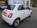 Fiat 500 Lim. Dolcevita Navi PDC Tempomat Weiß - thumbnail 5