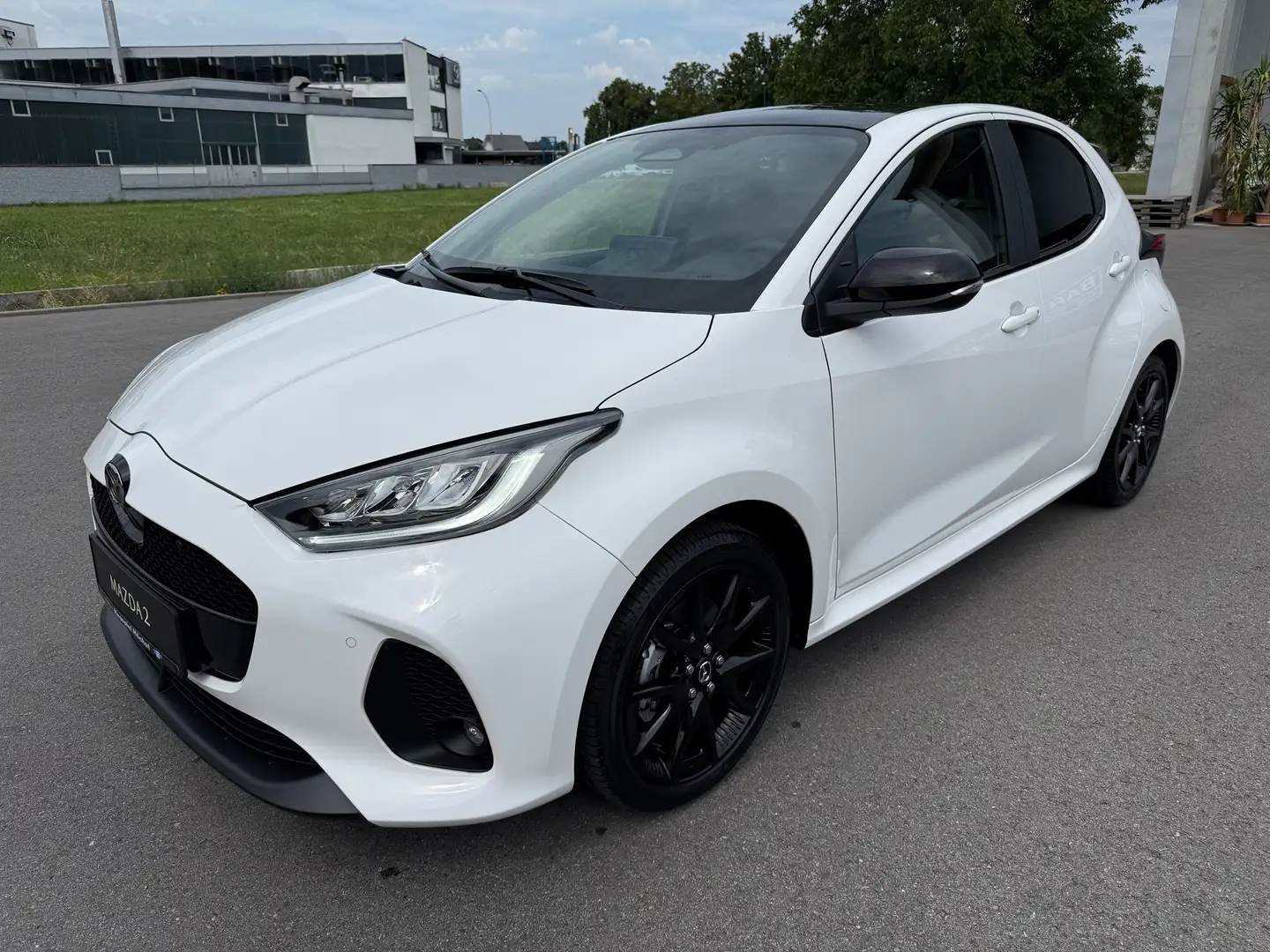 Mazda 2 Hybrid Homura Plus Navi Pano Head-up VOLL Weiß - 1