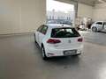 Volkswagen Golf 1.6 TDI 116CV DSG BMT  TRENDLINE AUTOMATICA Bianco - thumbnail 5