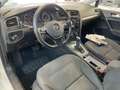 Volkswagen Golf 1.6 TDI 116CV DSG BMT  TRENDLINE AUTOMATICA Bianco - thumbnail 12