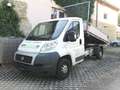 Fiat Ducato L2 2,3 M.Jet 3 Seiten Kipper Weiß - thumbnail 3
