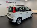Fiat Panda Panda 1.3 mjt 16v Dynamic 75cv UNIPROP. 120.000 KM Bianco - thumbnail 4