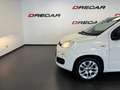 Fiat Panda Panda 1.3 mjt 16v Dynamic 75cv UNIPROP. 120.000 KM Bianco - thumbnail 7