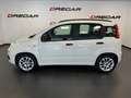 Fiat Panda Panda 1.3 mjt 16v Dynamic 75cv UNIPROP. 120.000 KM Bianco - thumbnail 6