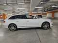 Audi A4 allroad A4 Allroad 2,0 TDI quattro Daylight S-tronic Weiß - thumbnail 3