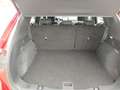 Ford Kuga Kuga 2.5 Full Hybrid 190 CV CVT 2WD ST-Line - thumbnail 5