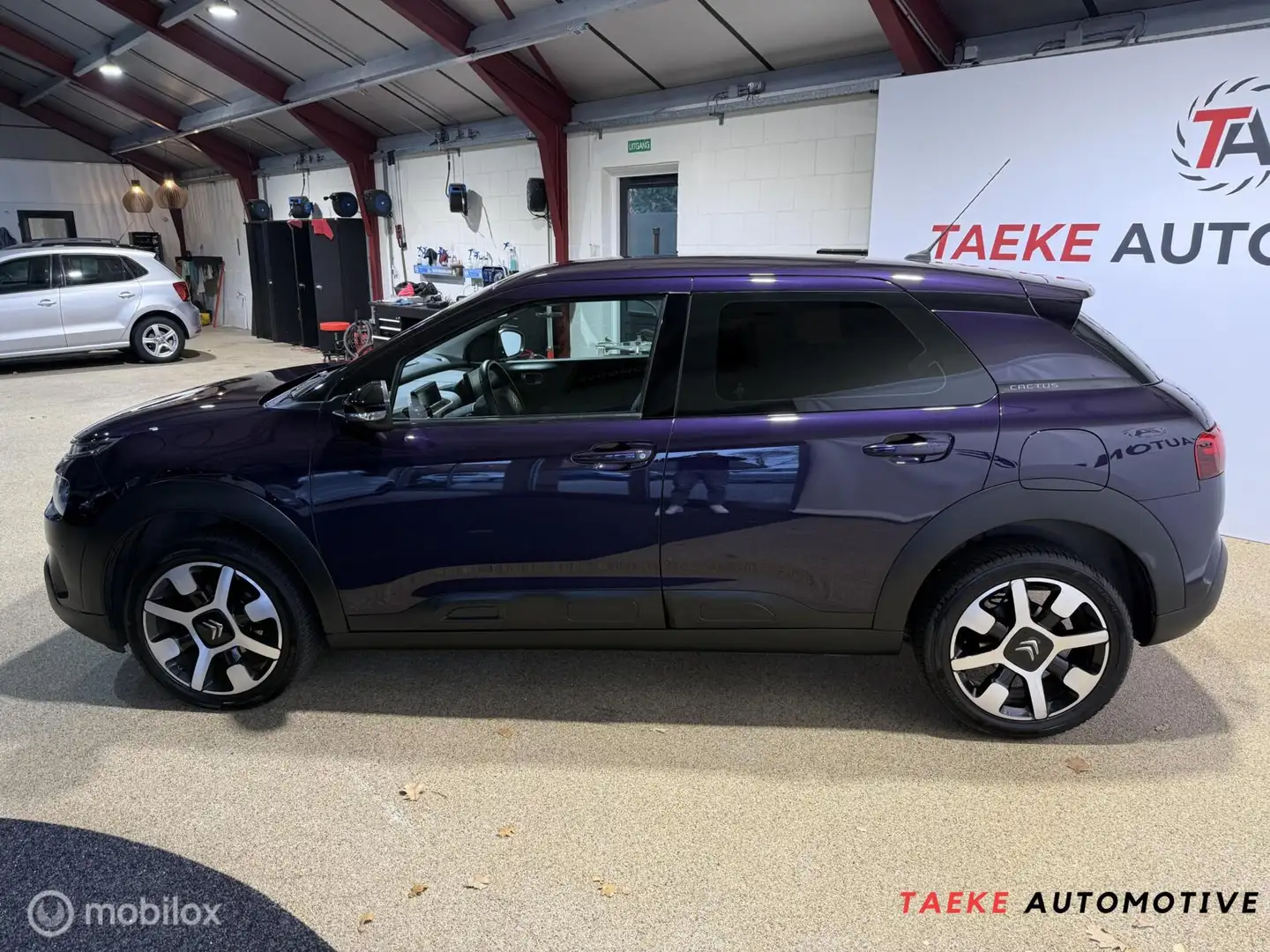 Citroen C4 Cactus 1.2 PureTech Feel Automaat/NW Distributie Paars - 2
