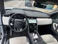 Land Rover Discovery Sport I 2020 2.0d i4 mhev R-Dynamic SE awd 150cv auto Bianco - thumbnail 9