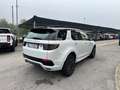 Land Rover Discovery Sport I 2020 2.0d i4 mhev R-Dynamic SE awd 150cv auto Bianco - thumbnail 5