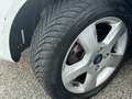 Ford Fiesta Fiesta VI 2010 5p 1.2 16v + Bianco - thumbnail 11