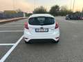 Ford Fiesta Fiesta VI 2010 5p 1.2 16v + Bianco - thumbnail 5