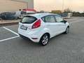 Ford Fiesta Fiesta VI 2010 5p 1.2 16v + Bianco - thumbnail 6