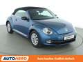Volkswagen Beetle 2.0 TDI Design BMT*PDC*SHZ*TEMPO*KLIMA*FENDER* Blau - thumbnail 8