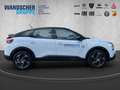 Citroen C4 PureTech 130 S&S Plus *CARPLAY*PDC*Allwetter* Bianco - thumbnail 6