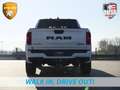 Dodge RAM | 1500 | Limited | Night | 3.0L Twin-Turbo I6 | Hi Weiß - thumbnail 21