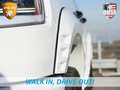 Dodge RAM | 1500 | Limited | Night | 3.0L Twin-Turbo I6 | Hi Weiß - thumbnail 16