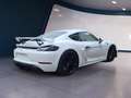 Porsche Cayman Cayman 718 GT4 BOSE VTS Navi SHZ Kamera BiXenon Blanco - thumbnail 6