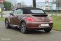 Volkswagen Beetle Cabriolet 1.2 TSI ALLSTAR Bruin - thumbnail 7