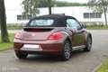 Volkswagen Beetle Cabriolet 1.2 TSI ALLSTAR Bruin - thumbnail 5