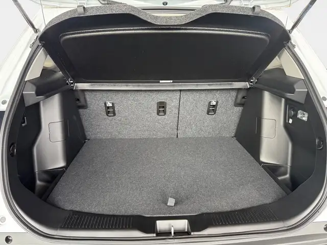 Suzuki S-Cross view 11