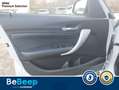BMW 116 116D 5P MSPORT AUTO Bianco - thumbnail 15