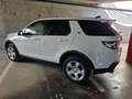 Land Rover Discovery Sport 2.0eD4 SE 4x2 150 Blanco - thumbnail 9