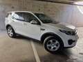 Land Rover Discovery Sport 2.0eD4 SE 4x2 150 Blanco - thumbnail 3