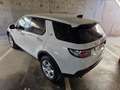 Land Rover Discovery Sport 2.0eD4 SE 4x2 150 Blanco - thumbnail 5