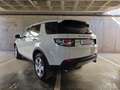 Land Rover Discovery Sport 2.0eD4 SE 4x2 150 Blanco - thumbnail 7