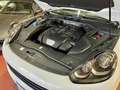 Porsche Cayenne 3.0 Platinum Edition tiptronic Blanc - thumbnail 13